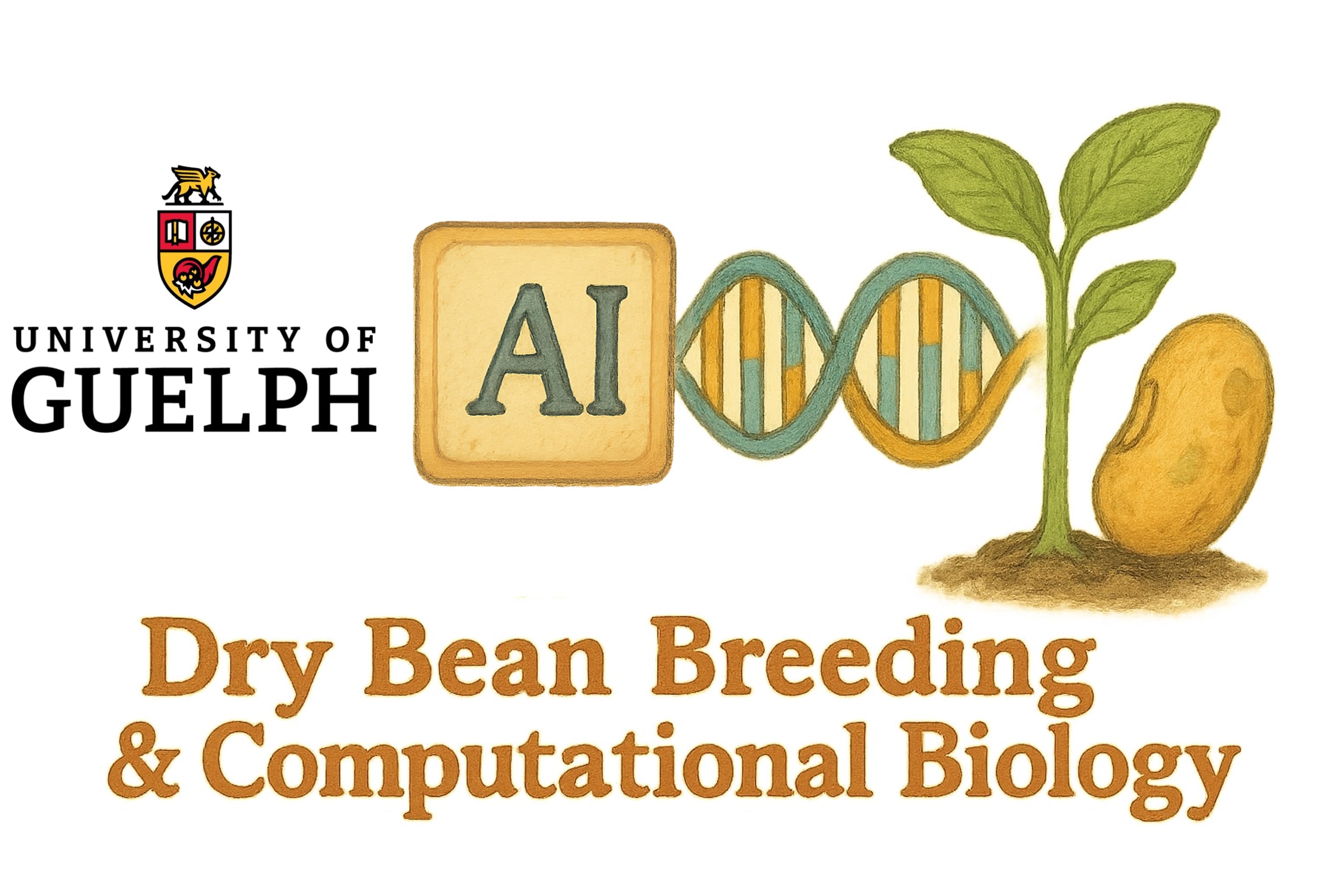 Dry Bean Program Logo